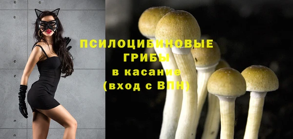 прущие крисы Белоозёрский